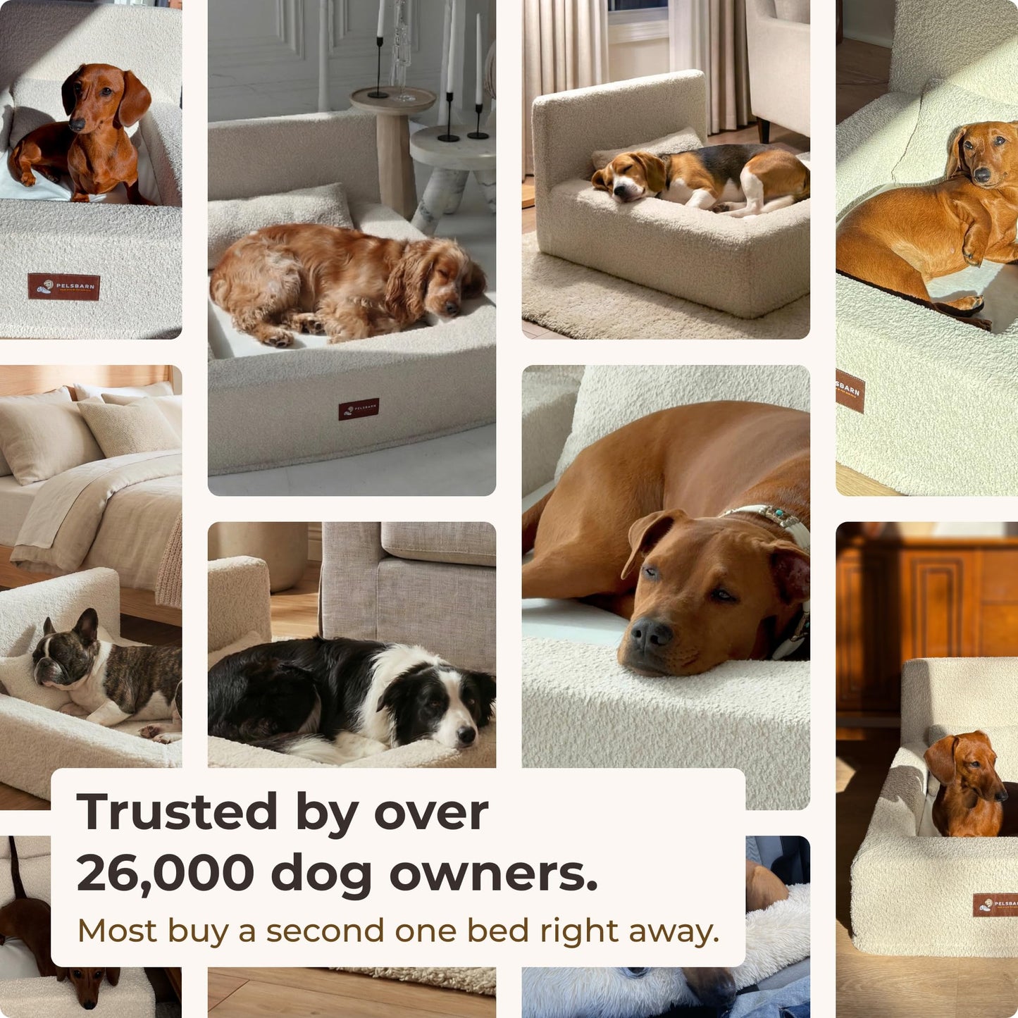 Pelsbarn Orthopedic Memory Foam Dog Bed Waterproof Washable Pet Mattress