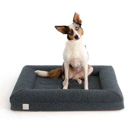 Bluewater Luxury Orthopedic Memory Foam Dog Bed Waterproof Washable Cover