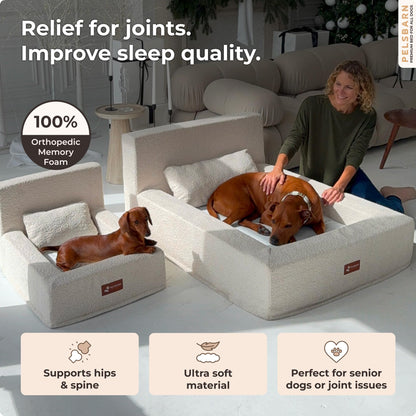 Pelsbarn Orthopedic Memory Foam Dog Bed Waterproof Washable Pet Mattress
